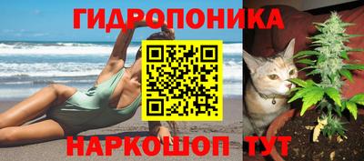 первитин Заволжье