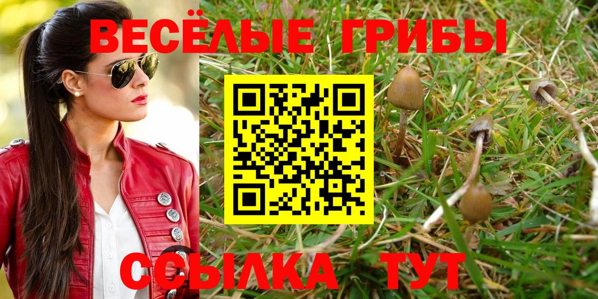 Галлюциногенные грибы Cubensis  Вход с VPN  Дзержинск 